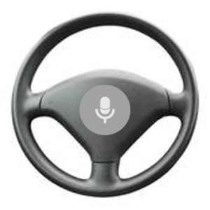 Automotive Voice Companion