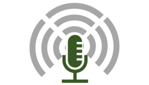 Digital Assistants & Voice Interfaces